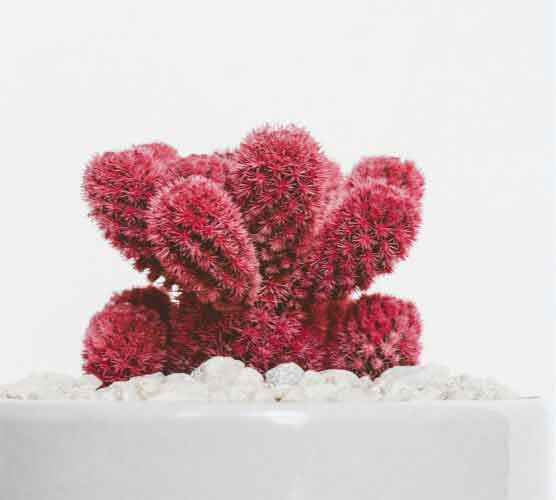 免费短信云呼轰炸机