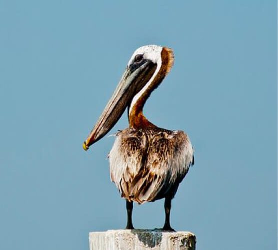 助企业更规范的如何轰炸对方手机号